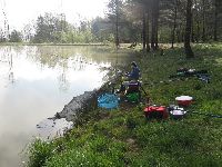 IMG_1456.jpg